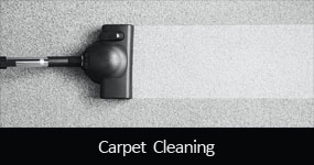http://www.gemcleaners.co.uk/images/various/carpet-cleaning-gem.jpg